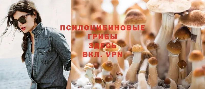 Галлюциногенные грибы MAGIC MUSHROOMS  Кизел 